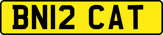 BN12CAT