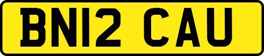 BN12CAU