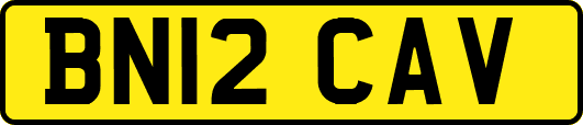 BN12CAV