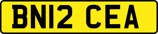 BN12CEA