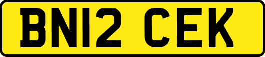 BN12CEK