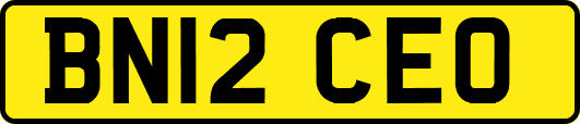 BN12CEO