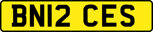 BN12CES