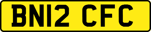 BN12CFC