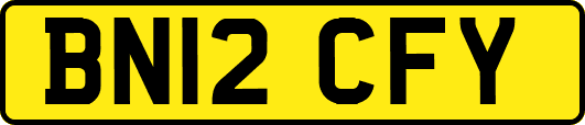 BN12CFY