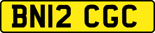 BN12CGC