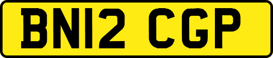 BN12CGP