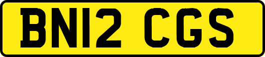 BN12CGS