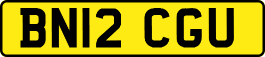 BN12CGU
