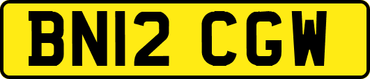 BN12CGW
