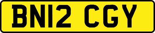 BN12CGY