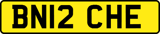 BN12CHE