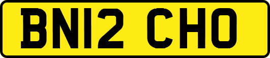 BN12CHO