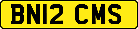 BN12CMS