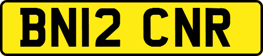BN12CNR