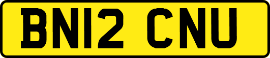 BN12CNU