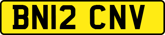 BN12CNV