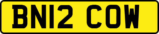 BN12COW