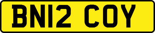 BN12COY
