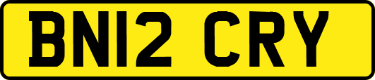 BN12CRY