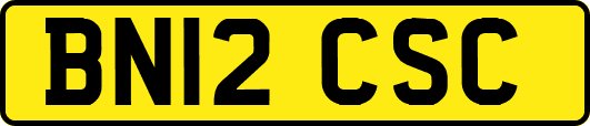 BN12CSC