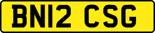 BN12CSG