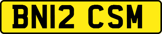 BN12CSM