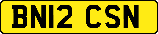 BN12CSN