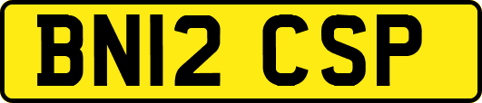 BN12CSP