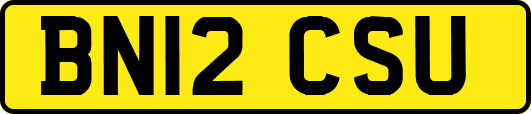 BN12CSU