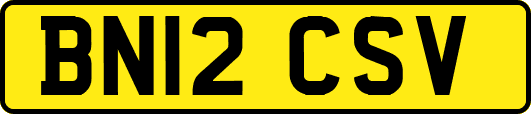 BN12CSV