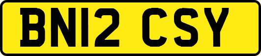 BN12CSY