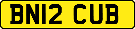 BN12CUB