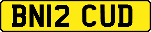 BN12CUD