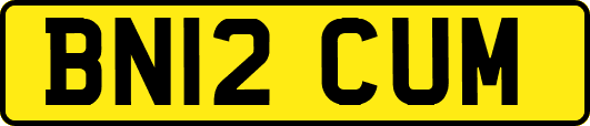 BN12CUM