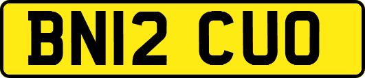 BN12CUO
