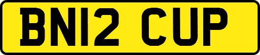 BN12CUP