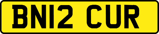 BN12CUR