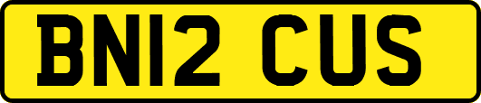 BN12CUS