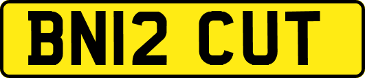 BN12CUT