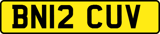 BN12CUV