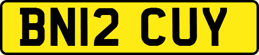 BN12CUY
