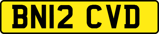 BN12CVD