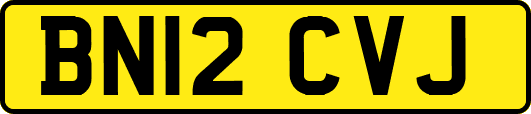 BN12CVJ