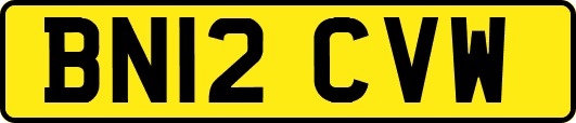 BN12CVW