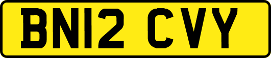 BN12CVY