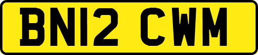 BN12CWM