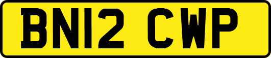 BN12CWP