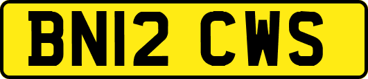 BN12CWS