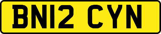 BN12CYN
